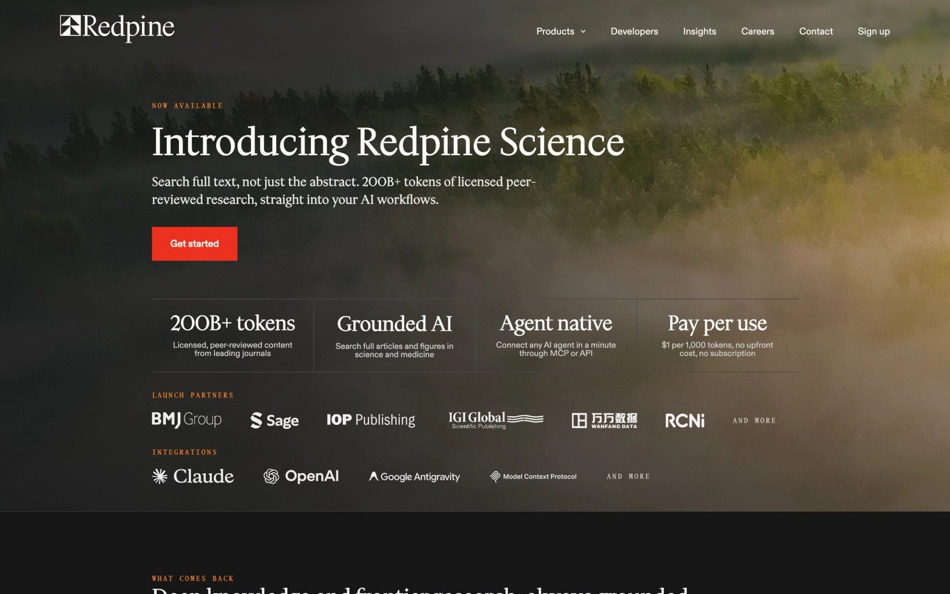 Redpine website homepage on desktop