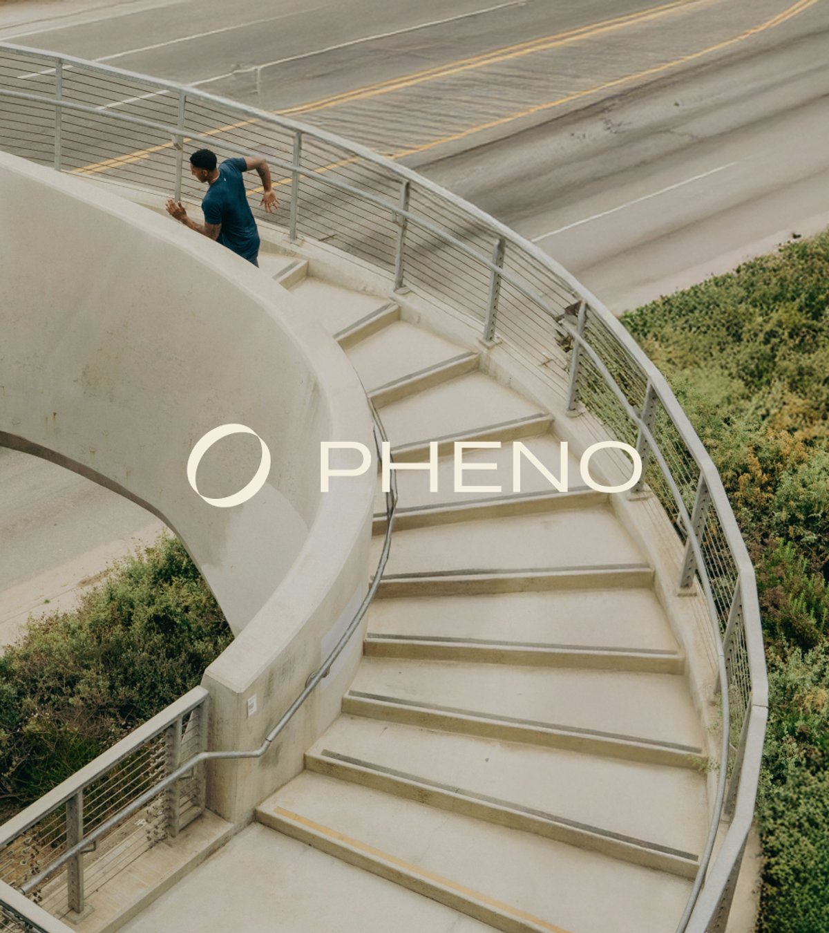 Pheno