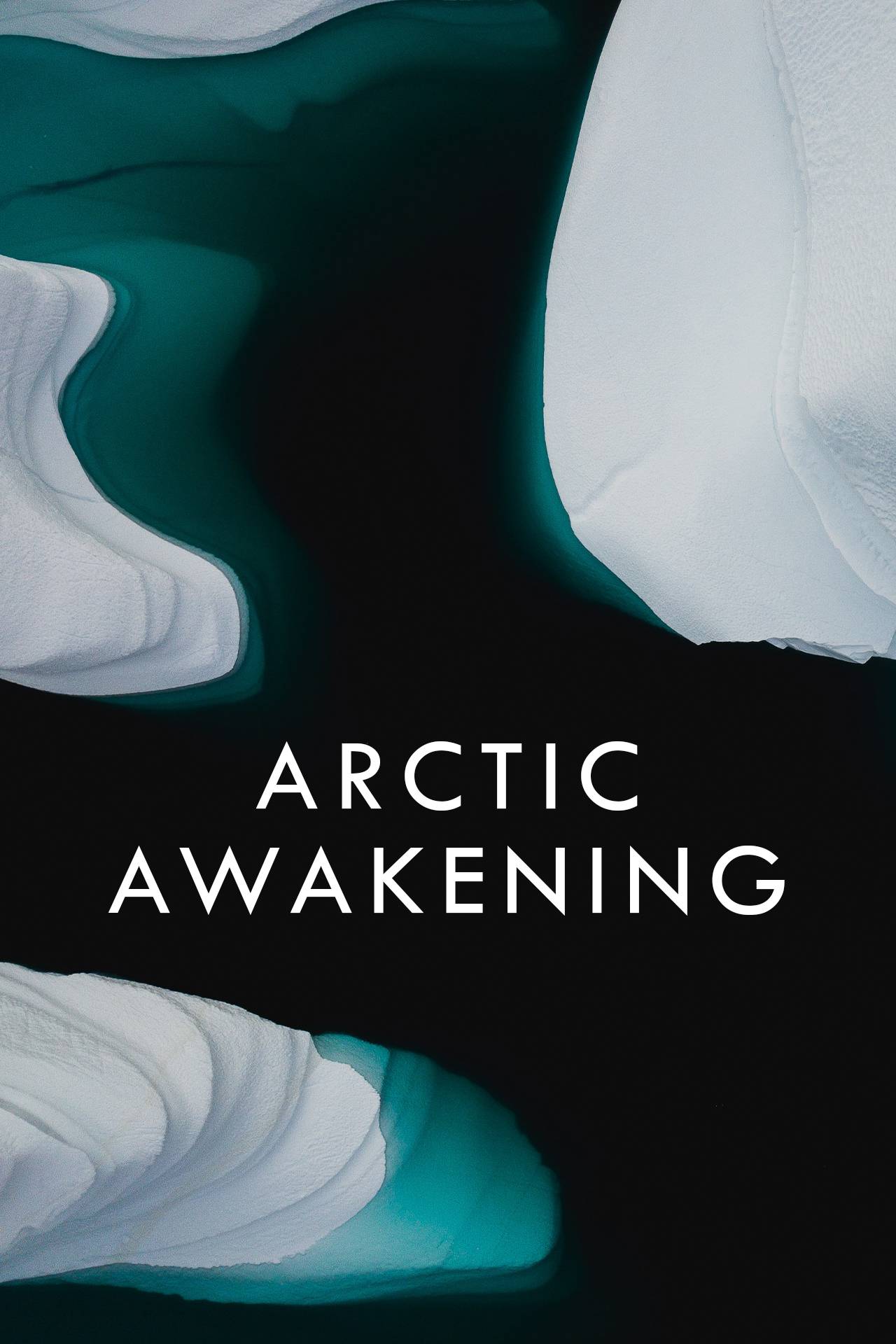 Arctic Awakening (AD)