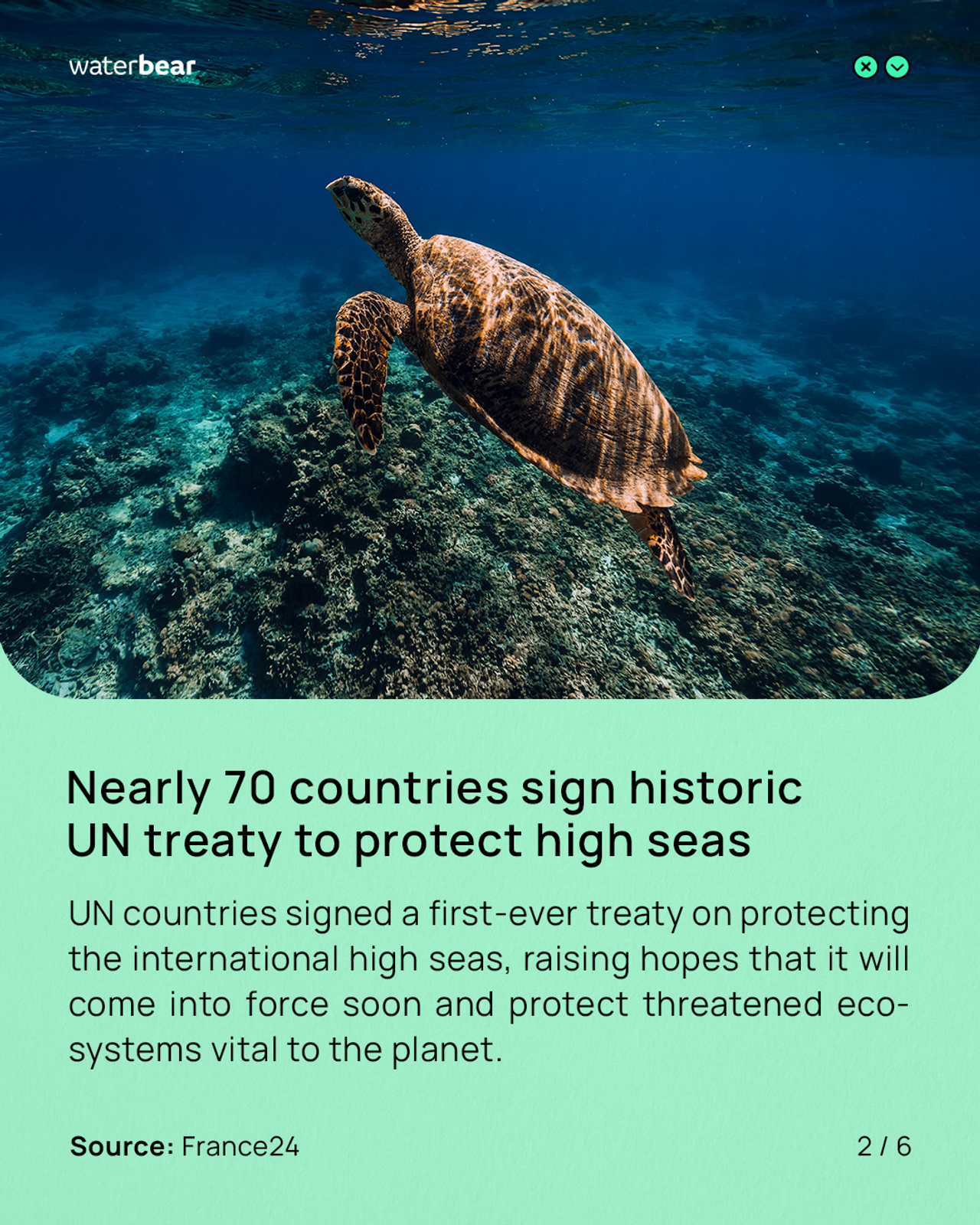 Historic UN treaty for the seas