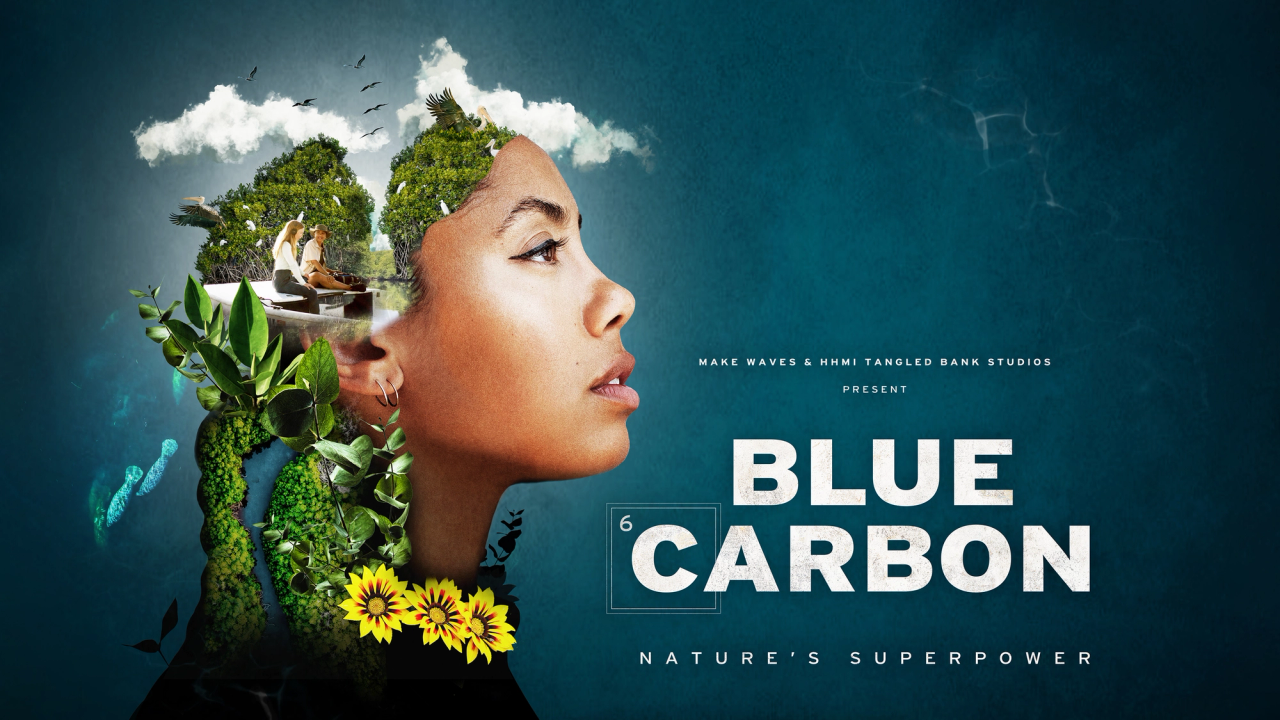 Watch Blue Carbon on WaterBear