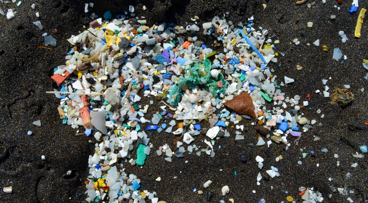 Demand a Global Plastics Treaty