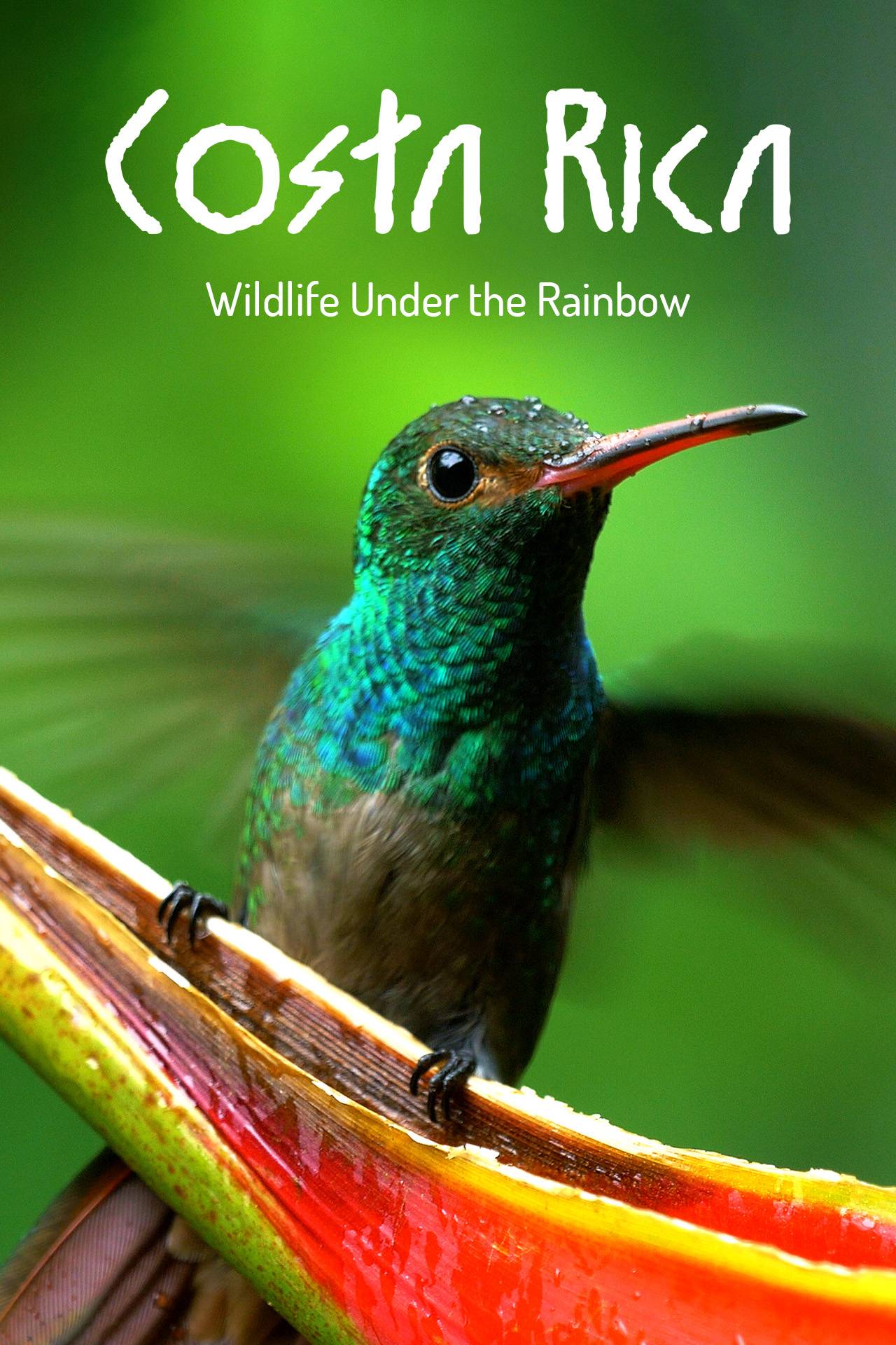 Costa Rica: Wildlife Under the Rainbow (AD)