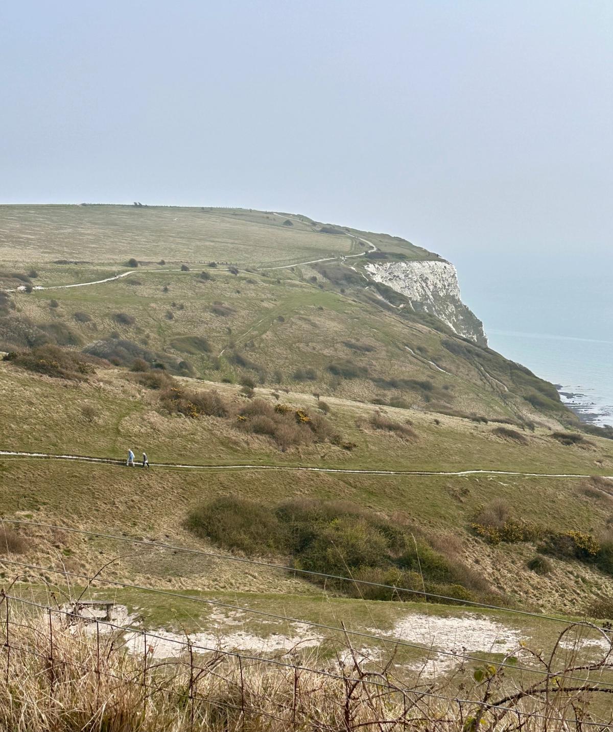 Paths criss-crossing clifftops