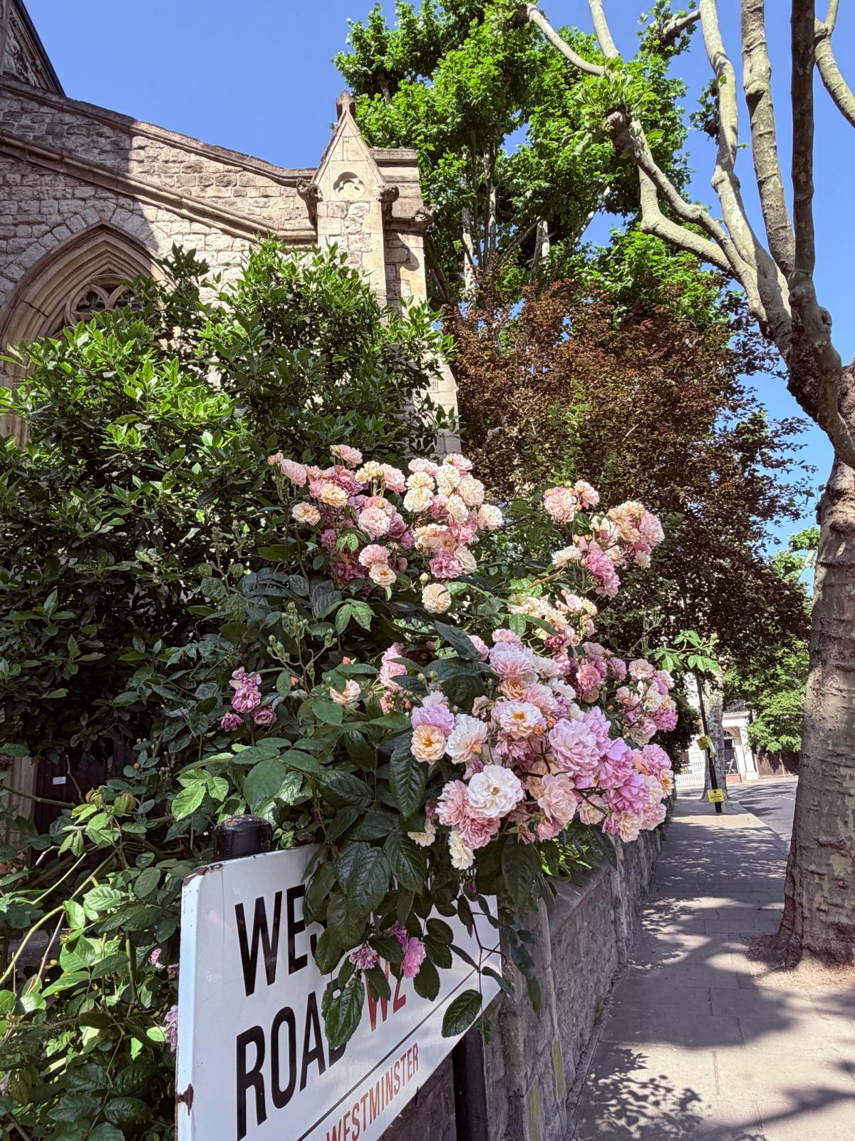 Pocket: Church Gates