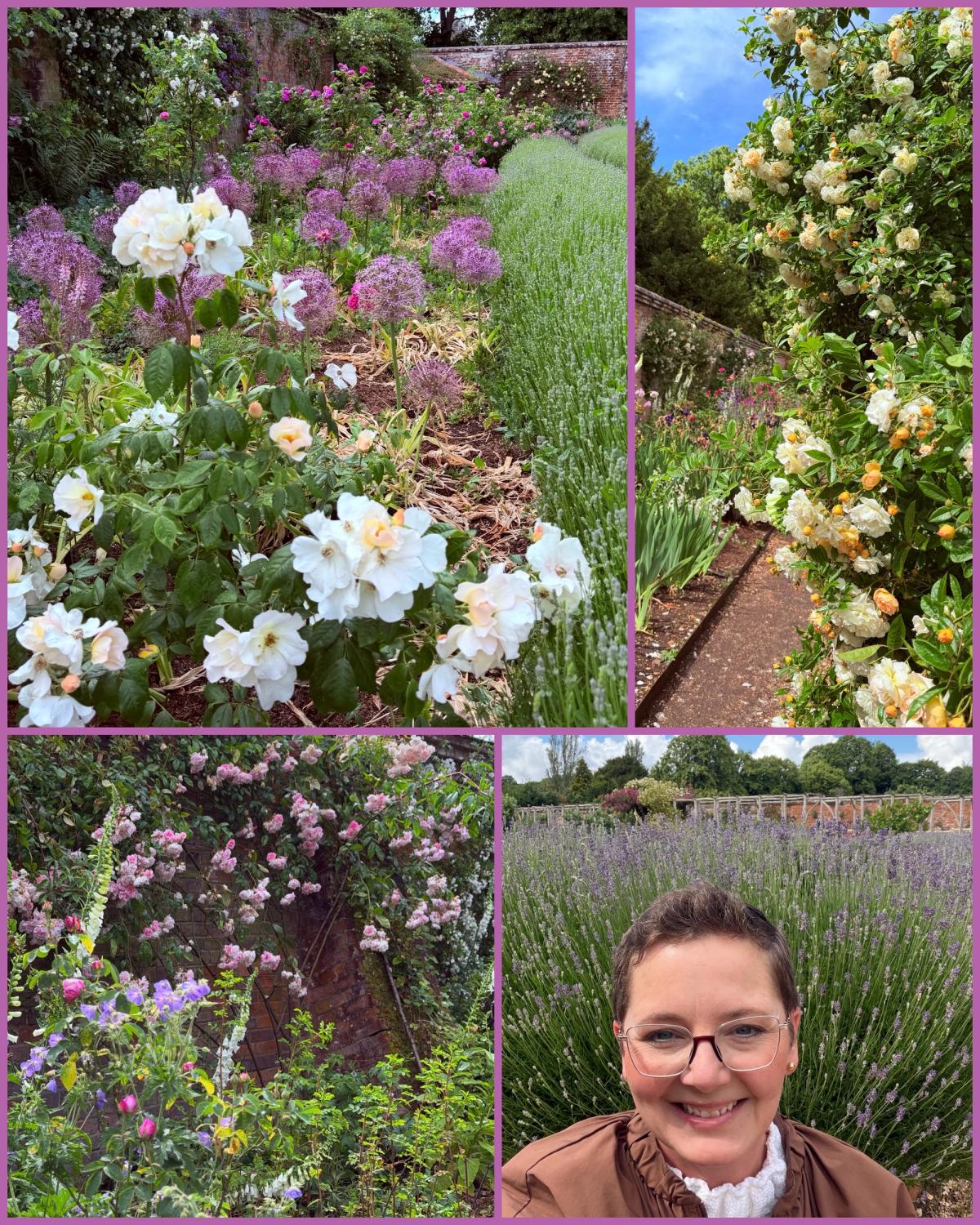 Mottisfont Collage