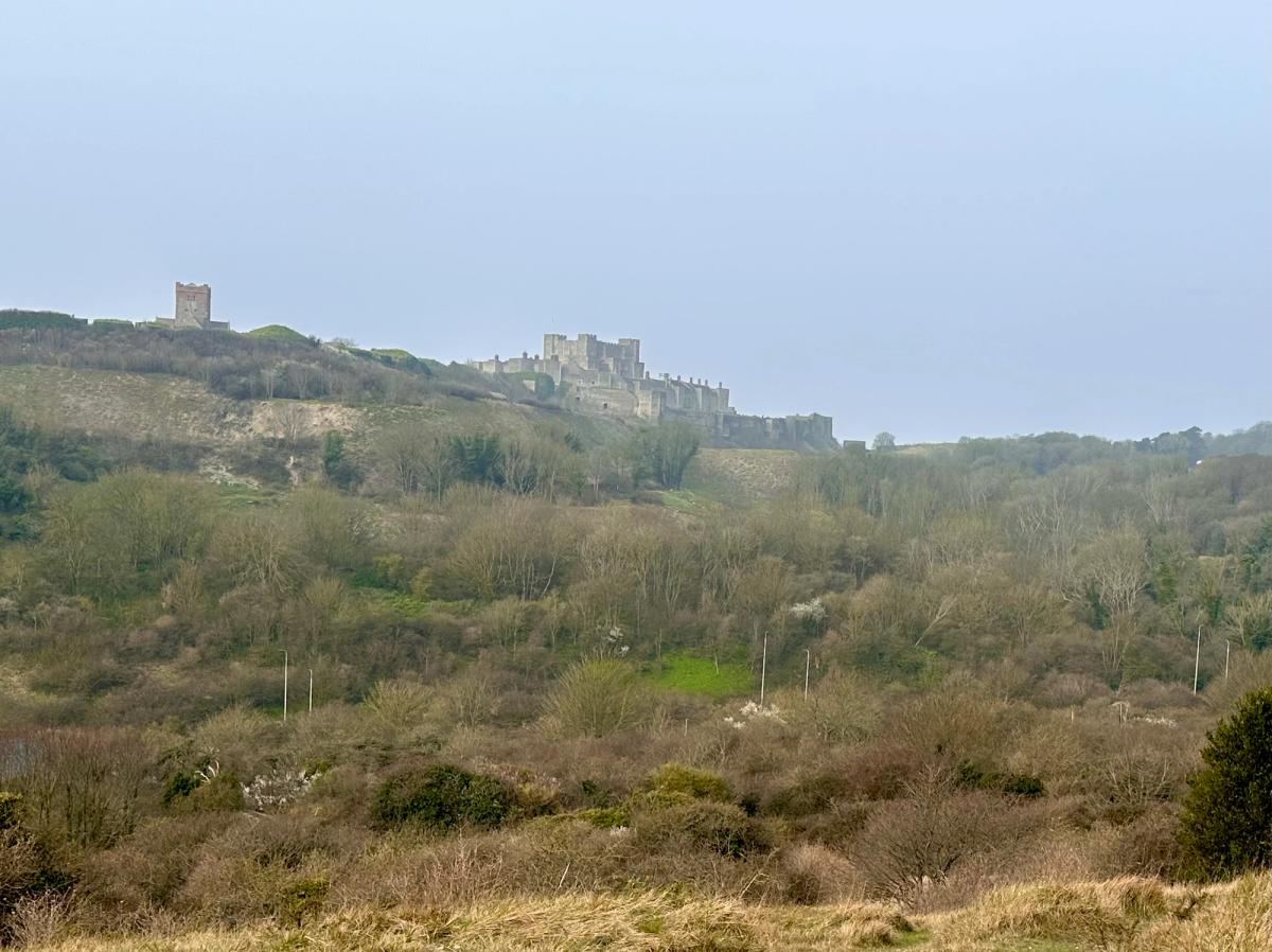 Castle 