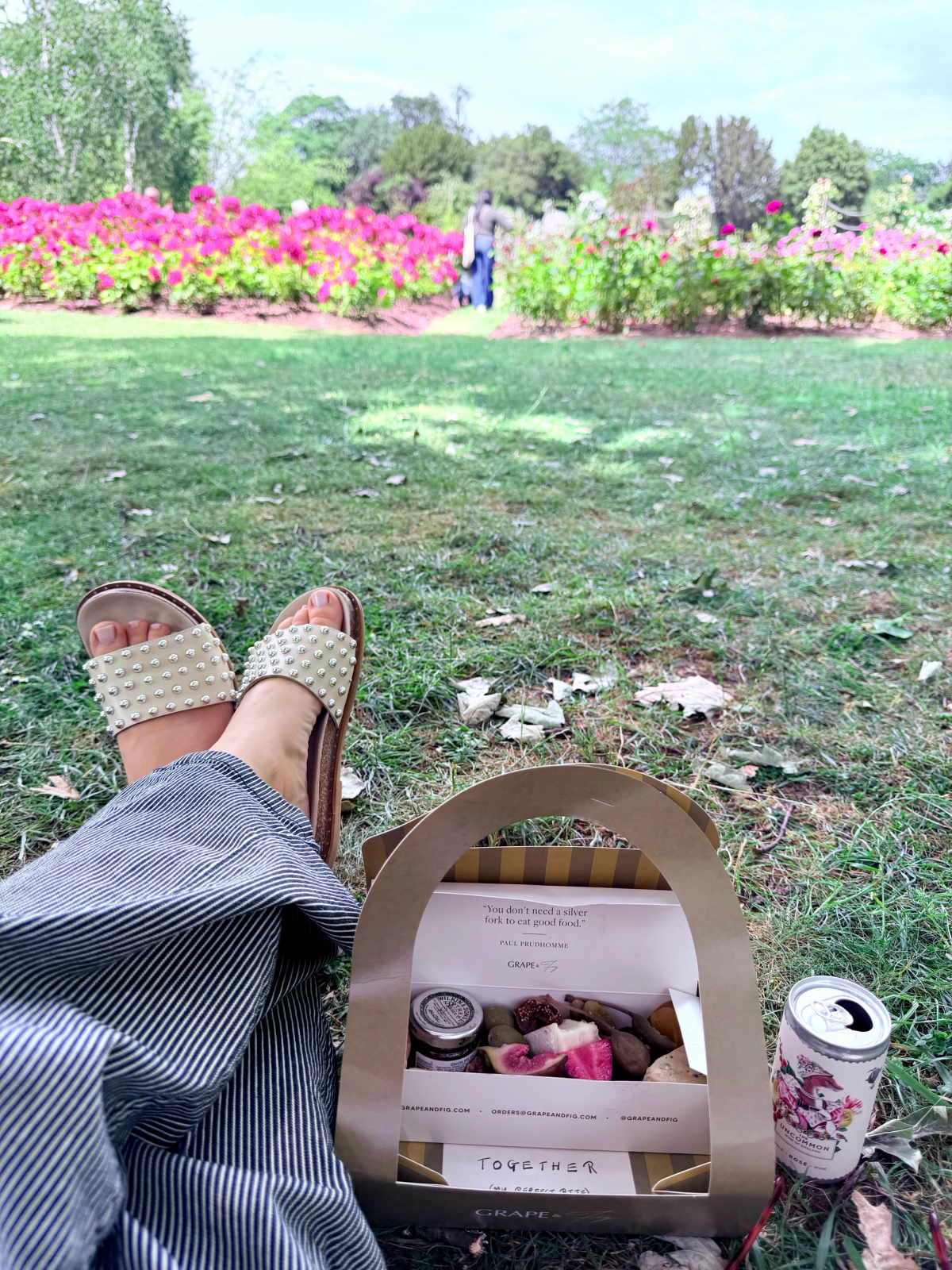 Rose Picnic