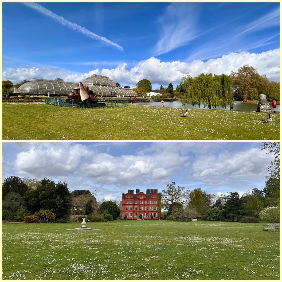 Kew Panoramics