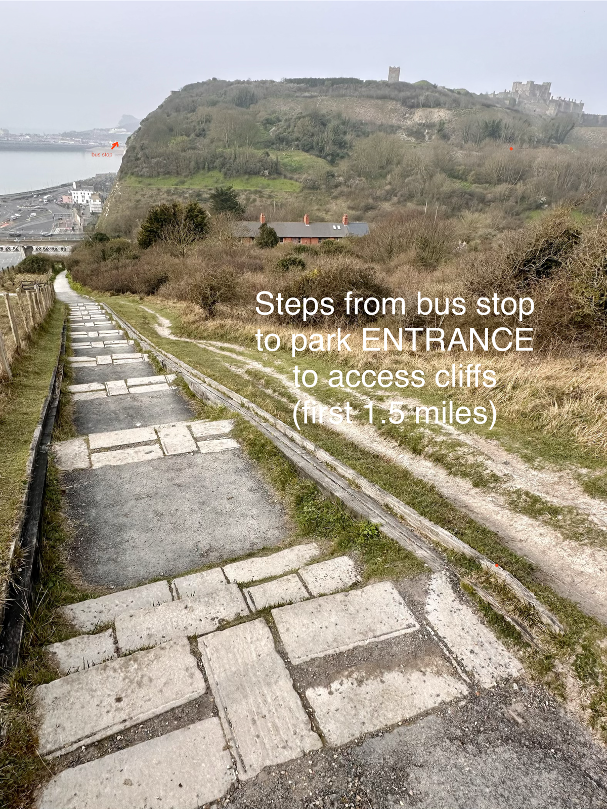 Path to Entrance