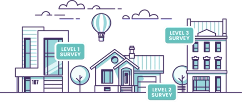 Different types of Home Surveys