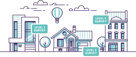Different types of Home Surveys