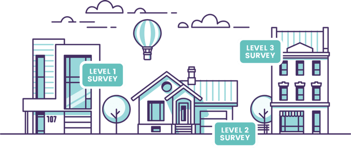 Different types of Home Surveys