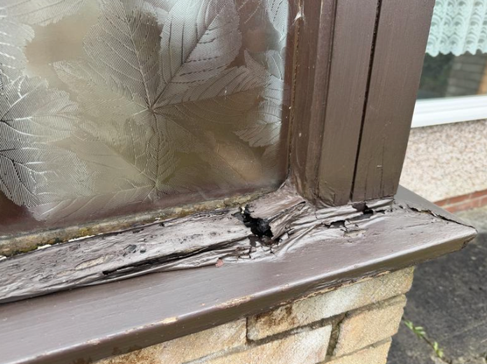 Timber decay on porch