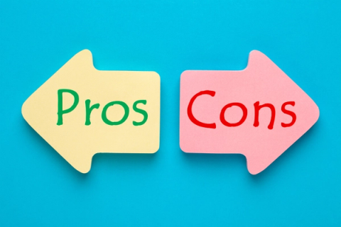 help to buy scheme pros and cons