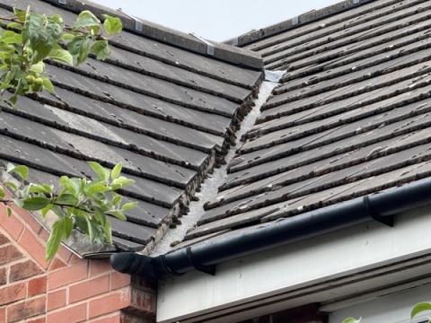 Pitched roof defects