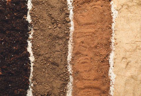 Various soil samples showing different textures and colors, representing soil types in the UK