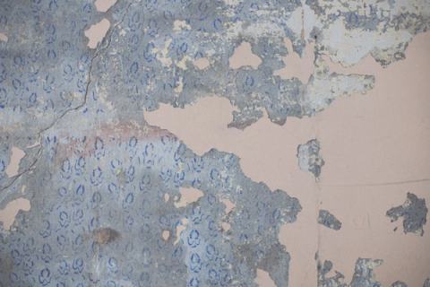 Damp staining on an interior wall being inspected
