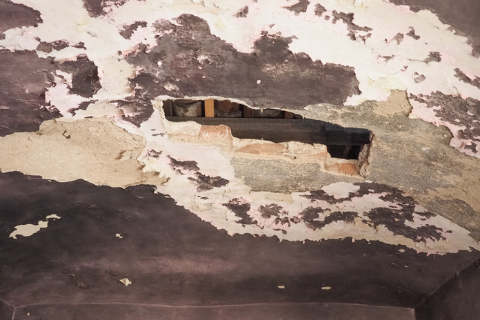 What are Landlords doing about Damp in Social Housing?