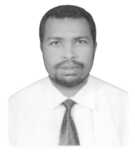Prof. Dr Hassan A. Hussein