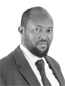 Eng. Mohamed Ibrahim
