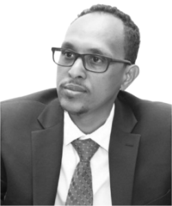 Mohamed Y Ali