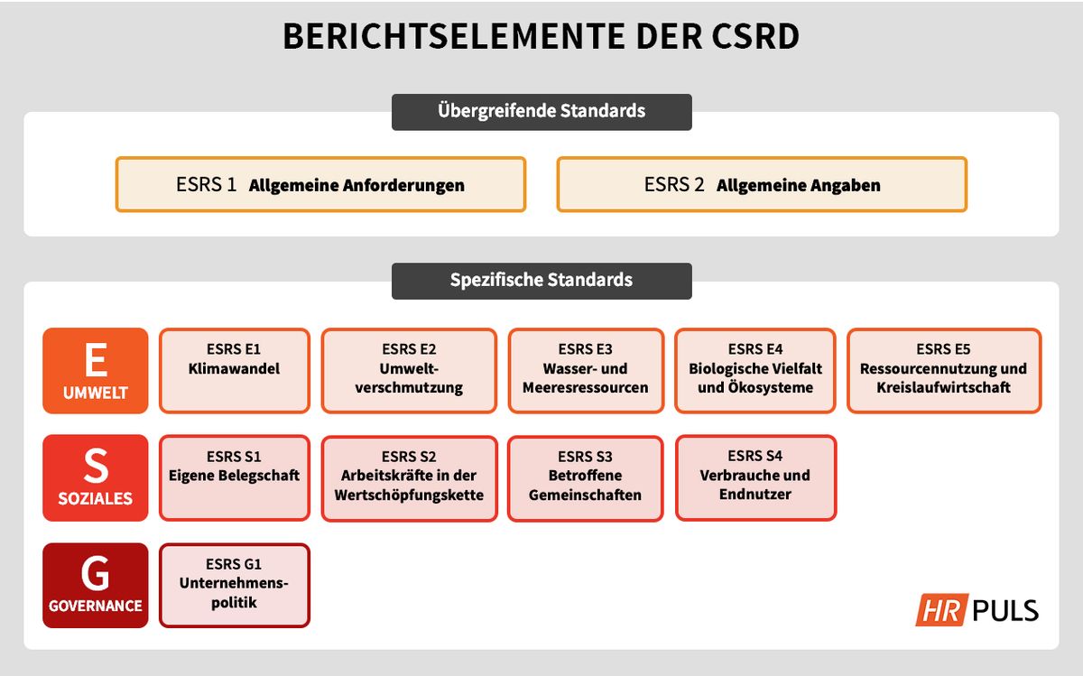 Diagram outlining the elements of CSRD, including overarching and specific standards related to environment, social, and governance aspects.