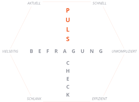 Merkmale eines Puls Checks: aktuell, schnell, unkompliziert, effizient, schlank und vielseitig