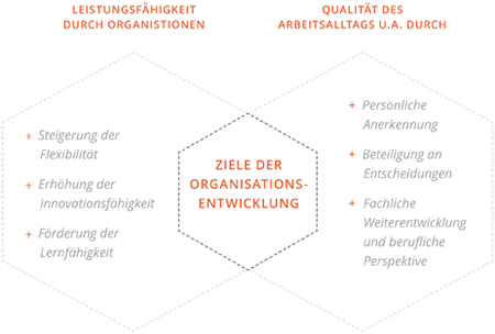 Ziele der Organisationsentwicklung: Leistungsfähigkeit der Organisation und Qualität des Arbeitsalltags