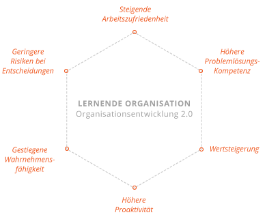 Lernende Organisation als Organisationsentwicklung 2.0 mit Vorteilen wie mehr Proaktivität und Problemlösungskompetenz