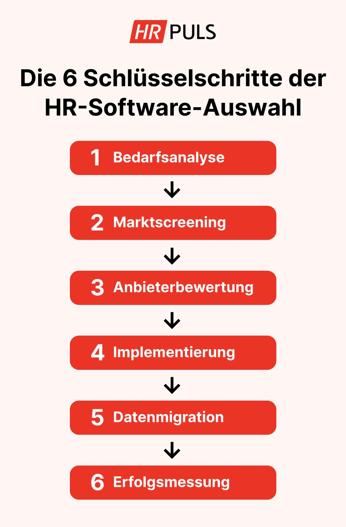 Die 6 Schlüsselschritte der HR-Software Auswahl | HR Puls