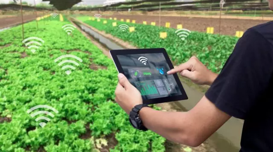Venado Tuerto: startup agtech factura $12M y exporta a 8 países en 2026
