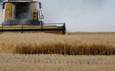 Trigo santafesino alcanza 2,8 millones de toneladas con récord de precios