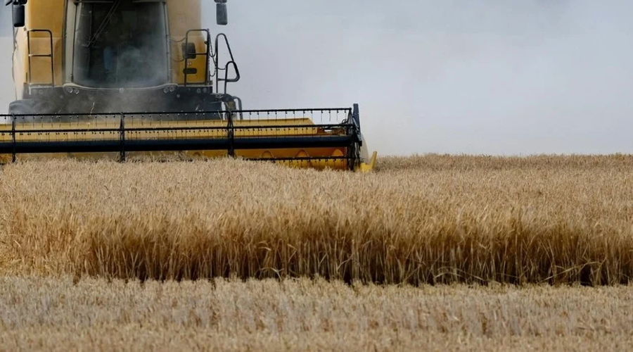 Trigo santafesino alcanza 2,8 millones de toneladas con récord de precios