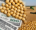 Dólar agro impulsa liquidaciones por US$ 850 millones en Cordón Industrial