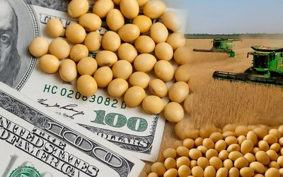 Dólar agro impulsa liquidaciones por US$ 850 millones en Cordón Industrial