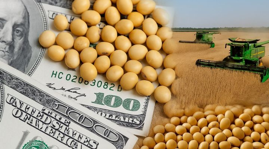 Dólar agro impulsa liquidaciones por US$ 850 millones en Cordón Industrial