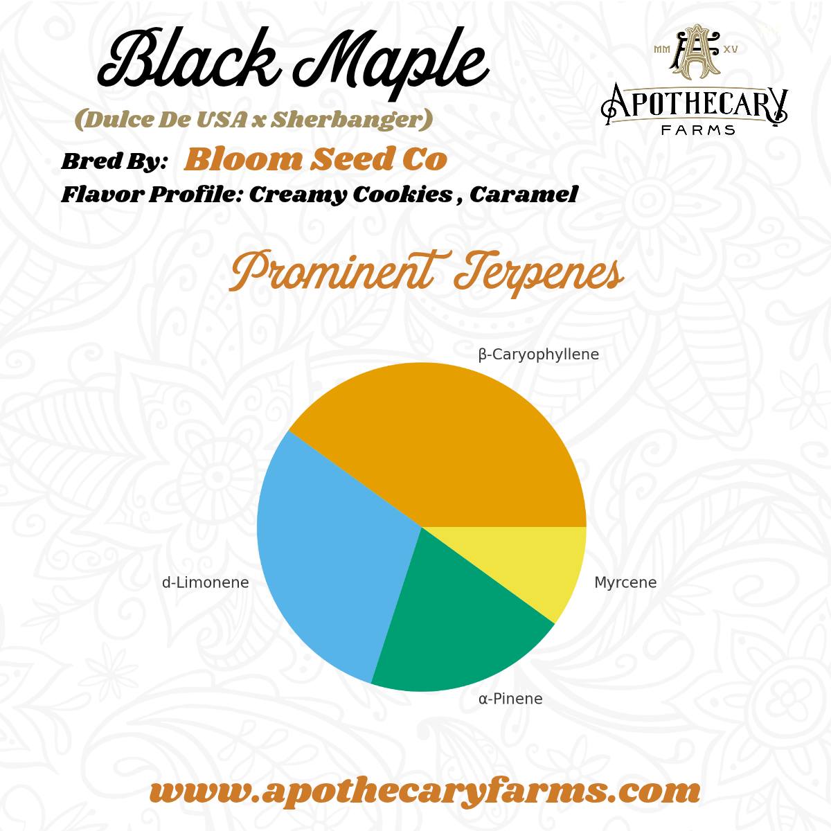 Black Maple