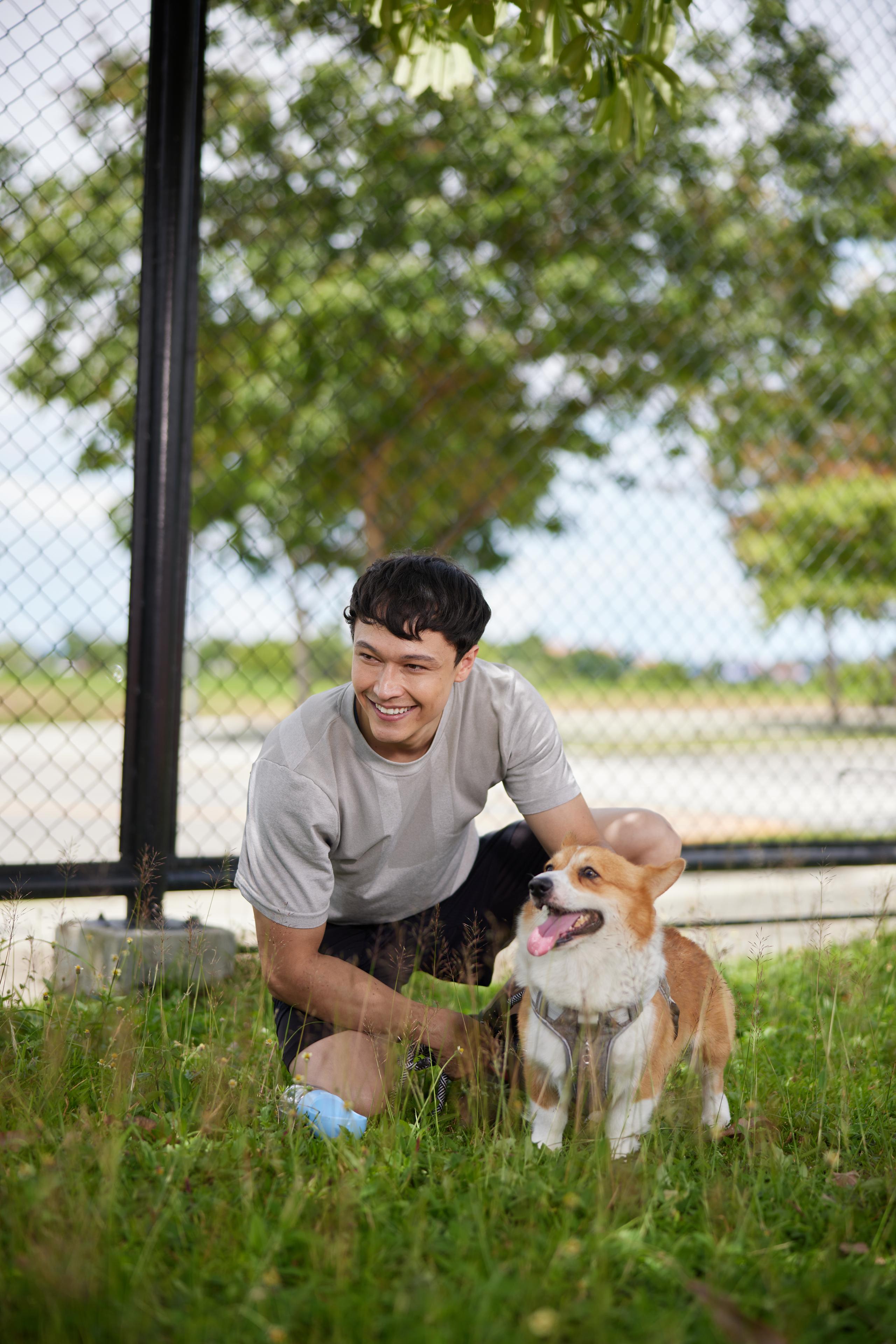 Sentria Storeys Vermosa - Residential Condo Development