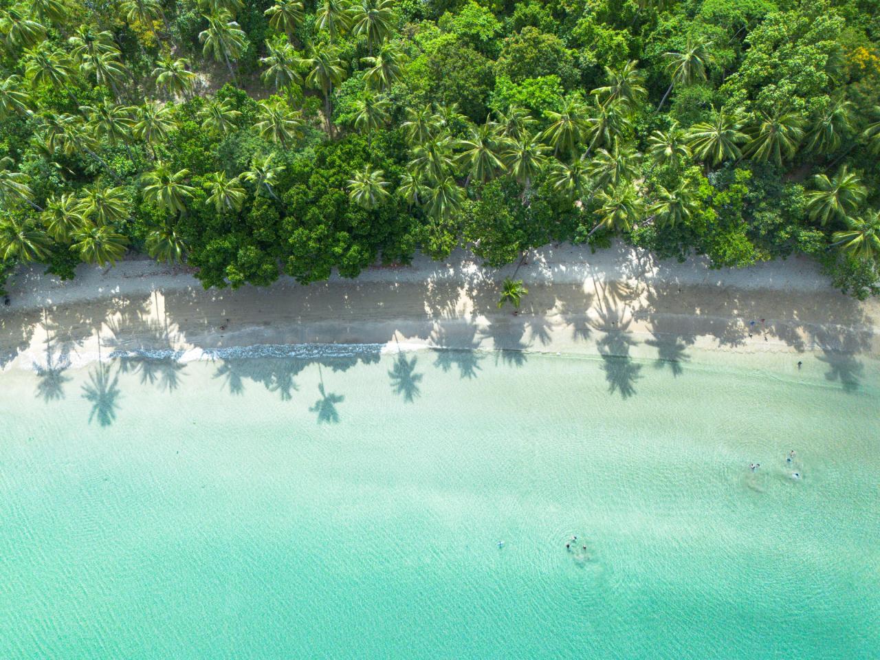 Lio Beach at Lio, El Nido, Palawan powdery white sand with green trees and clear blue waters