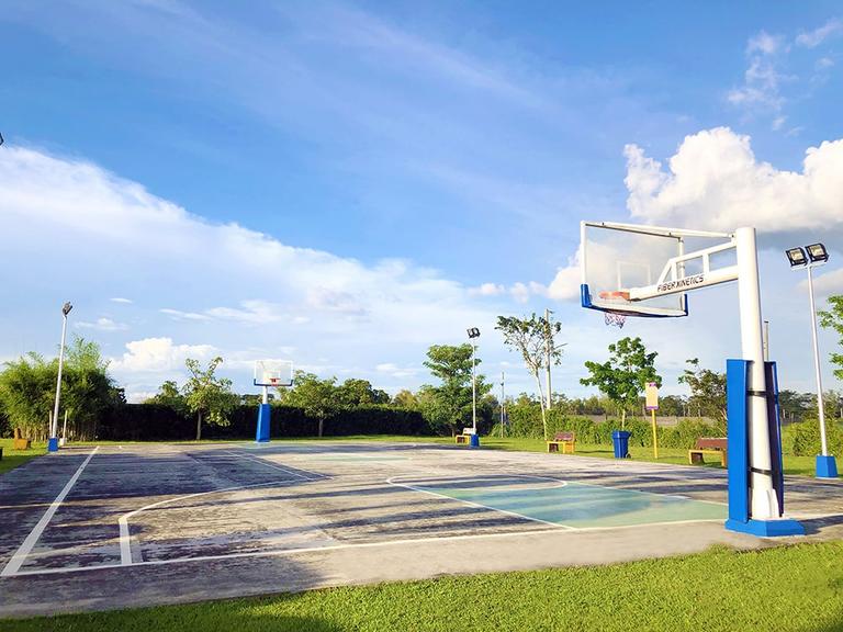 Amaia Scapes Capas Court