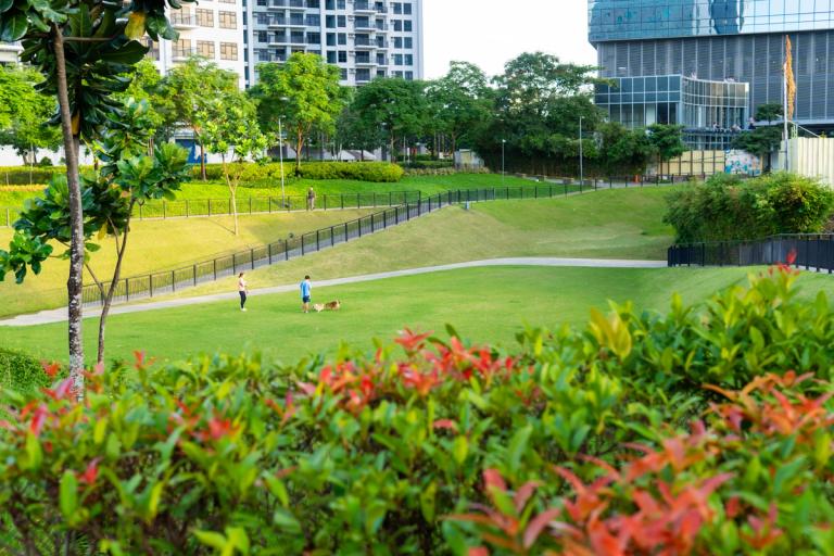Less Rush, More Living: How Walkable Communities Are Redefining Urban ...