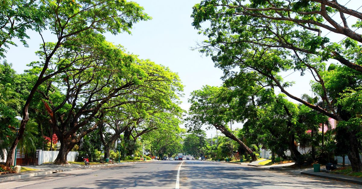 Choose World-Class Residences in Alabang | Ayala Land