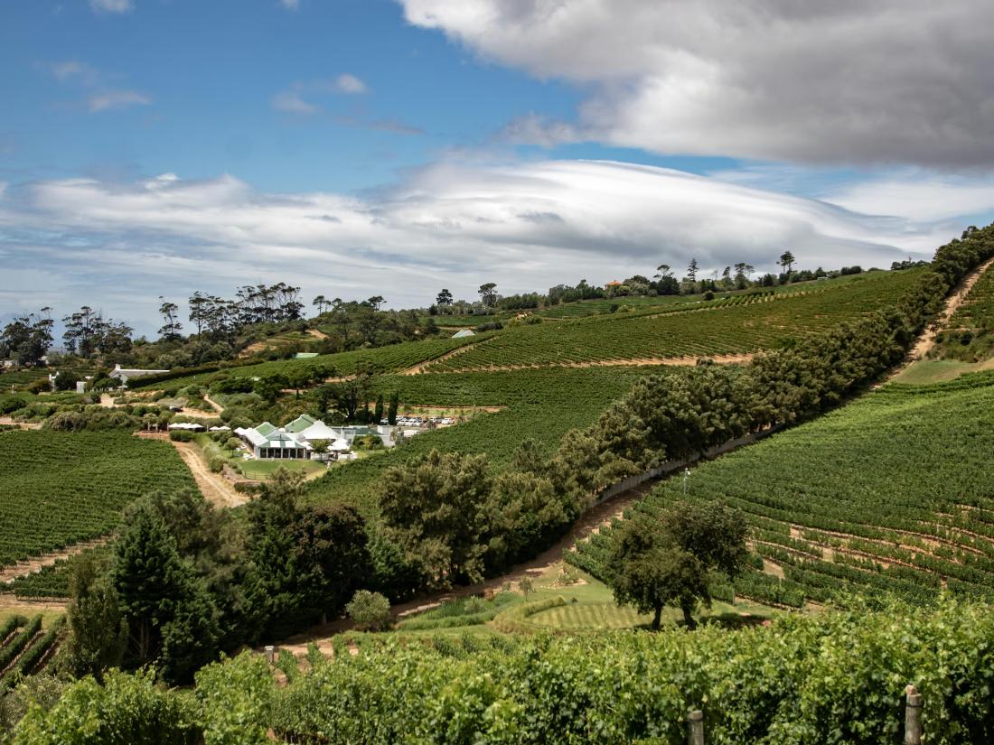Constantia
