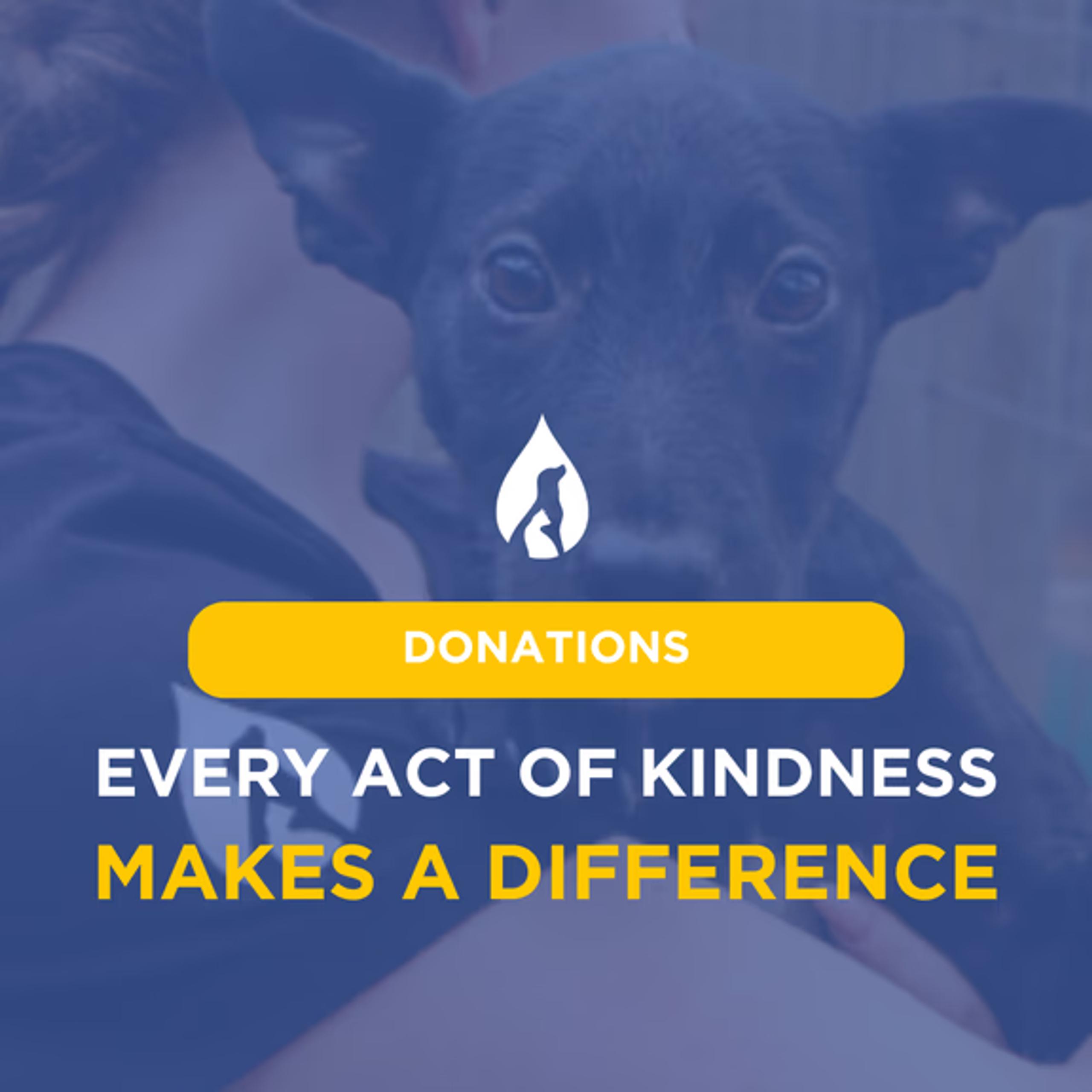 From Ashes to Hope - Help Rebuild TEARS Animal Rescue 🐾