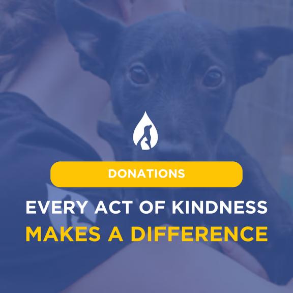 From Ashes to Hope - Help Rebuild TEARS Animal Rescue 馃惥