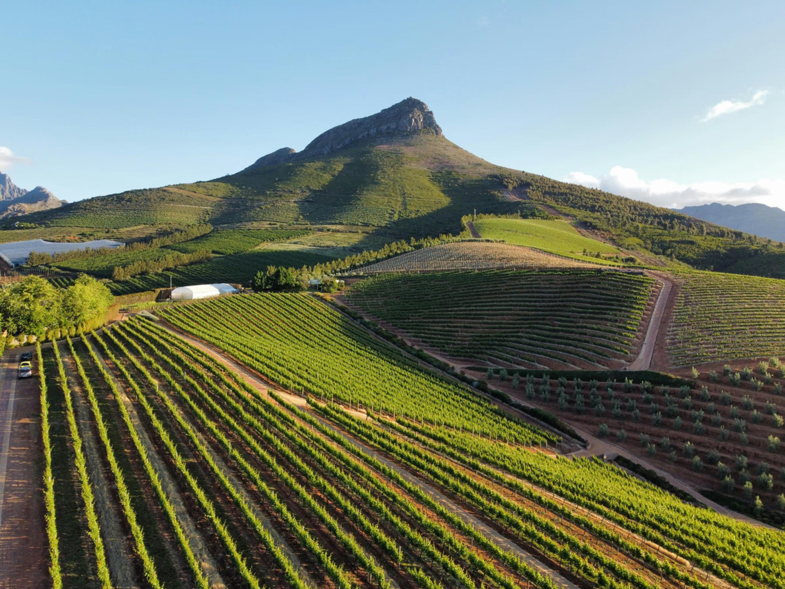 Stellenbosch