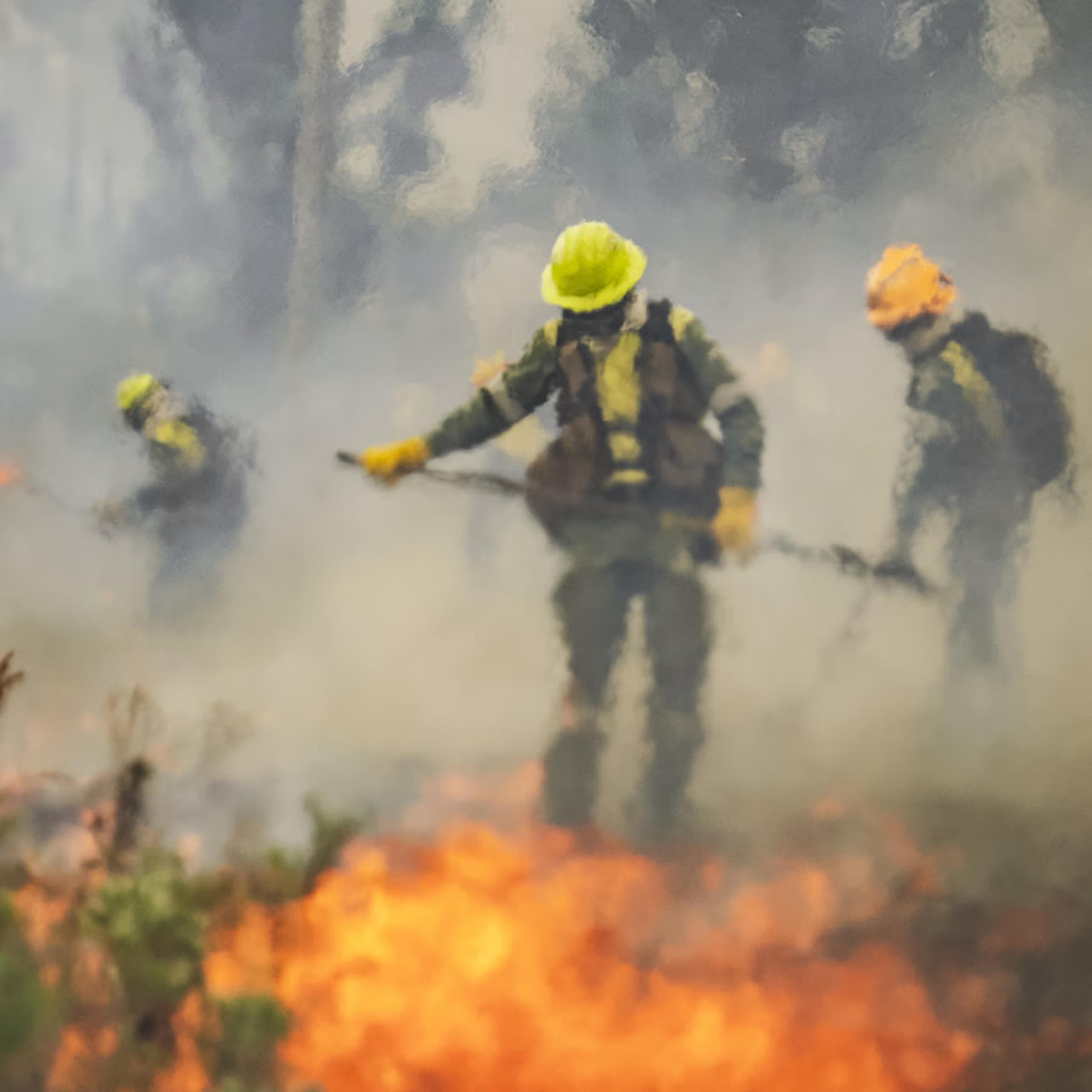 How to Reduce Your Cape Town Property’s Wildfire Risk During El Niño