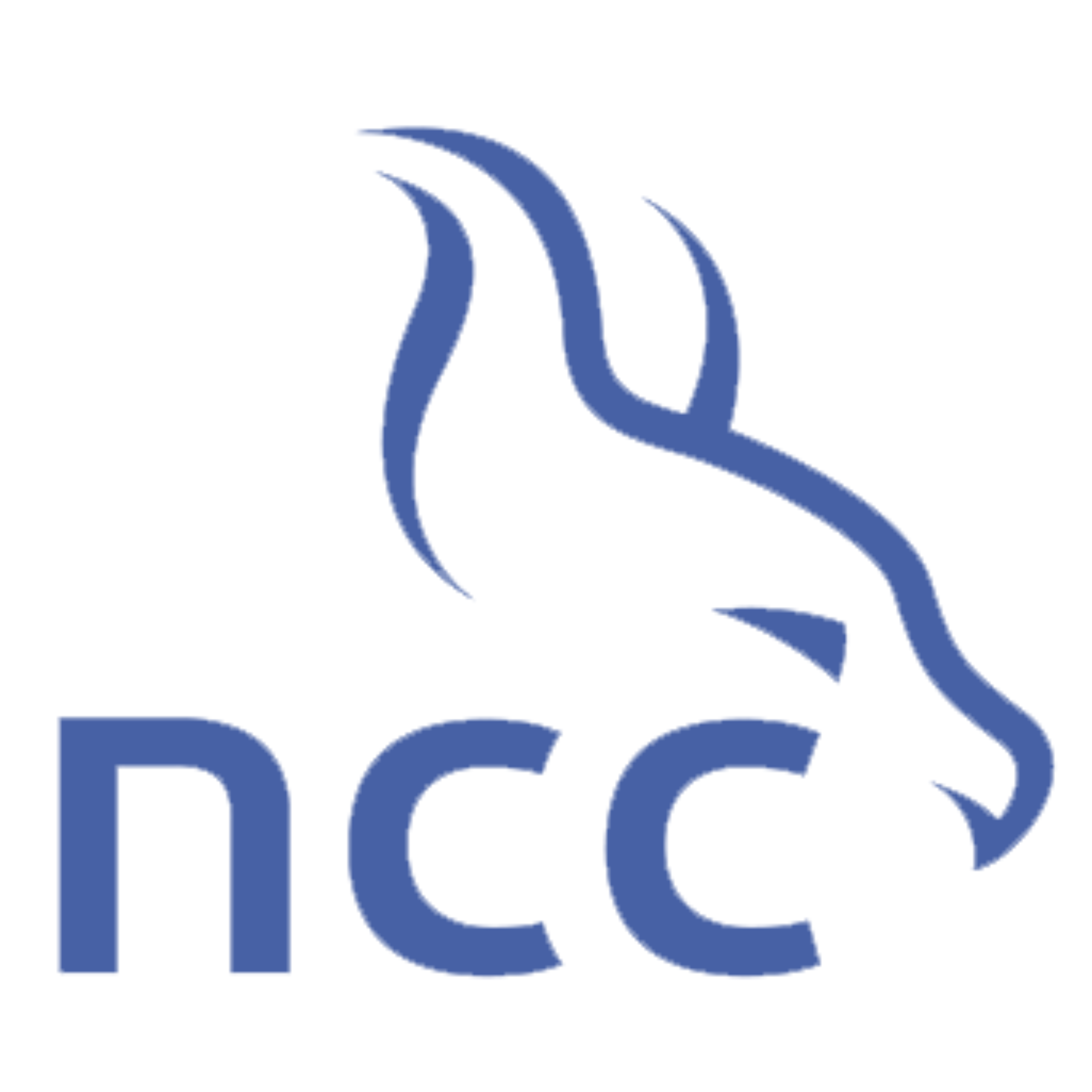 NCC group