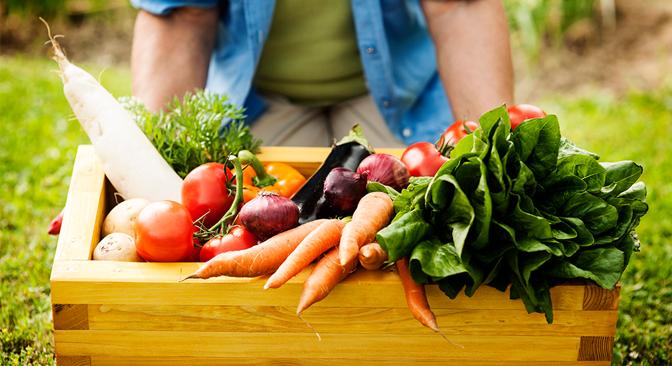 Sustainable Sourcing and Fresh Ingredients in Modern Indian Cooking